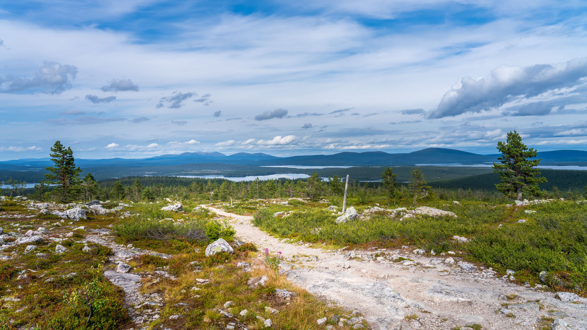 Tunturimaisena, polku johtaa horisontissa näkyvää järveä kohti. Taustalla näkyy tuntureita ja pilvinen taivas.